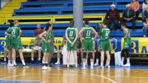 beroe jeni beroe jeni