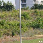 stadion chernomoretz