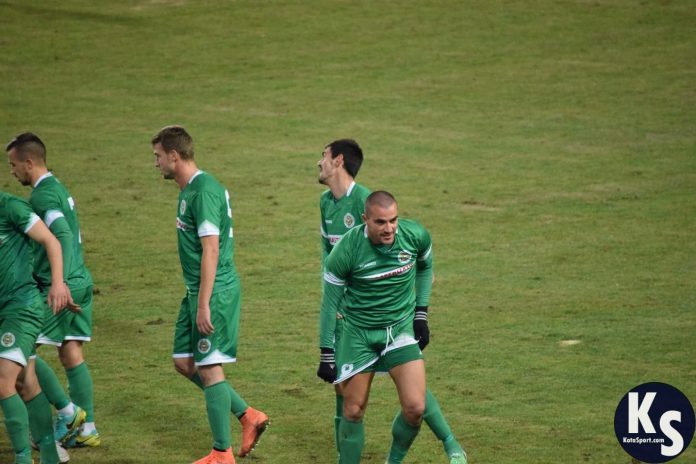 neftohimik botev plovdiv nikolai diulgerov