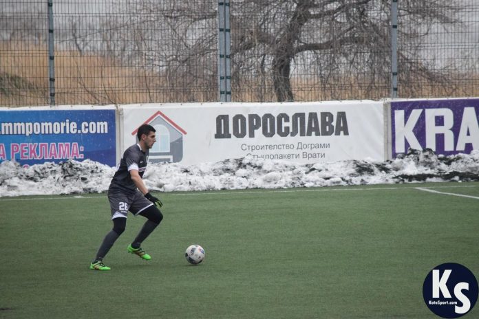 viktor homei