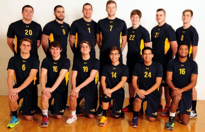 viktoriq voley