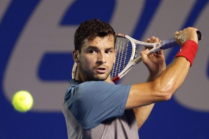 grigor dimitrov