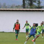 1498493063638-397-dimityr-berbatov