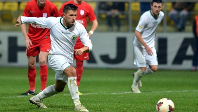 nelut rusu