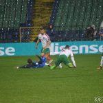 balgariq franciq (31)