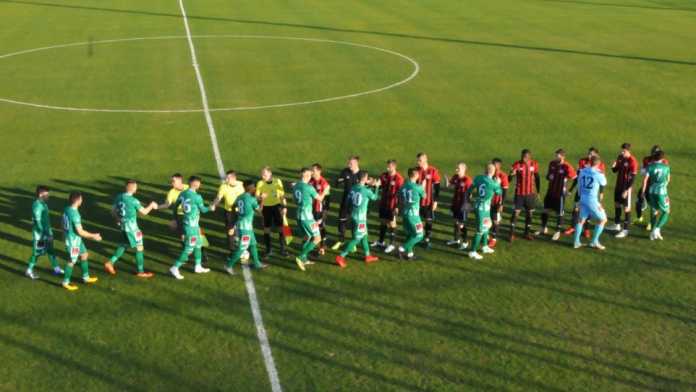 beroe amkar