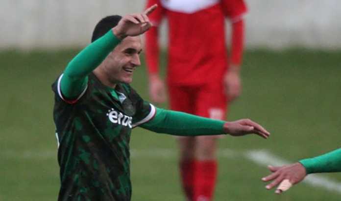 hristo mitev