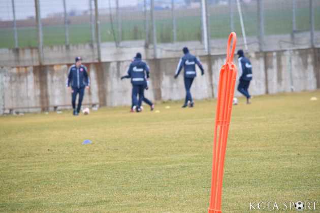 crvena zvezda 11