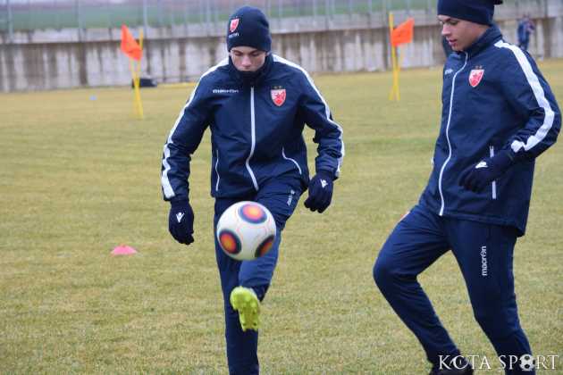 crvena zvezda 12