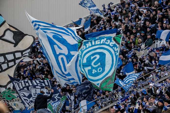 shalke fenove fenove shalke