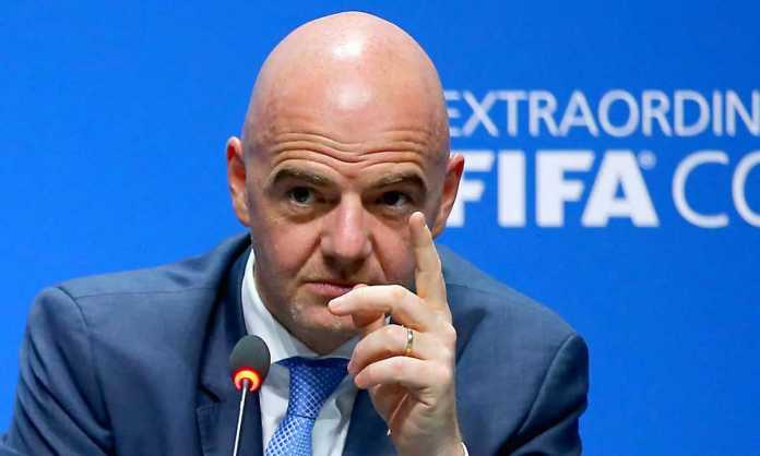 djani infantino djani infantino