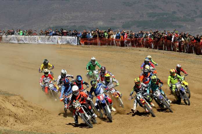 motori motori