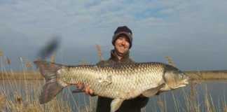 riba ivan angelov 1 696x457