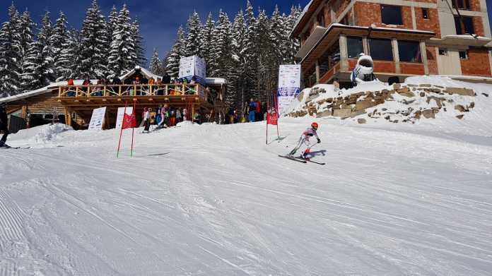 ski