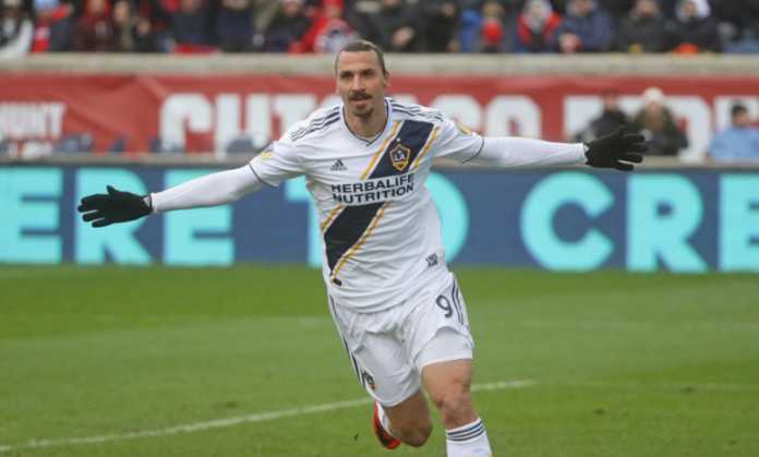 ibrahimovich ibrahimovich