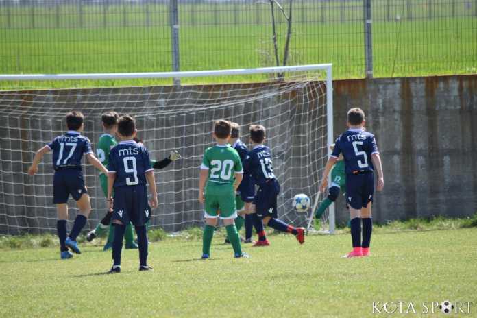 koloniq cup 16 1