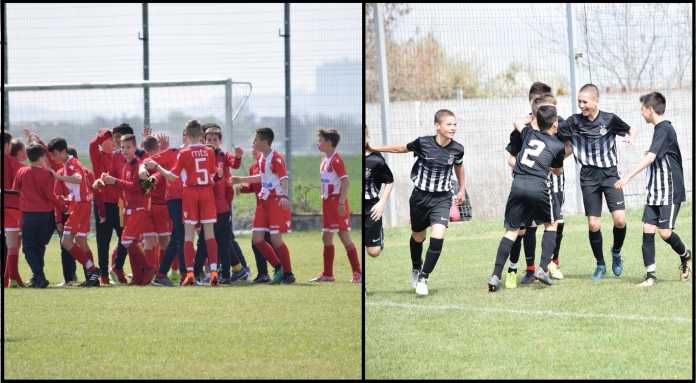 zvezda partizan zvezda partizan