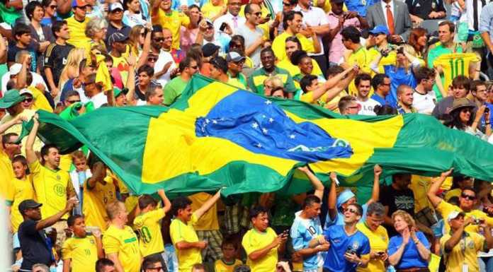 braziliq fenove