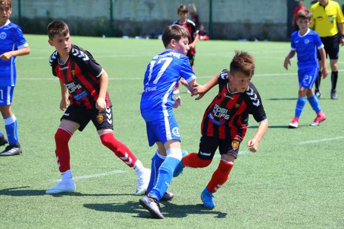vardar 2006 vardar 2006