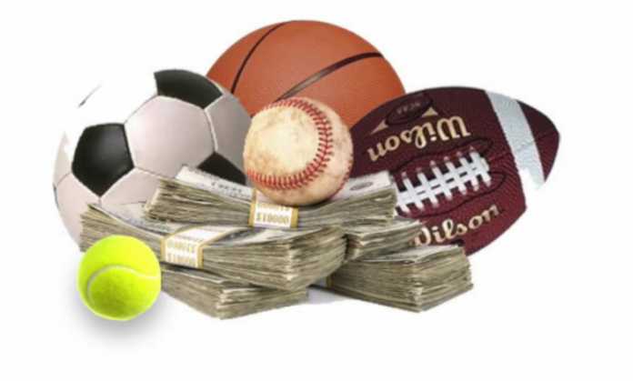 15319712981 15319712981