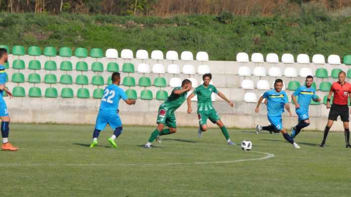 beroe minior beroe minior