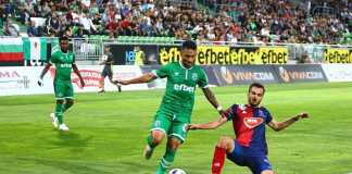 ludogorets videoton