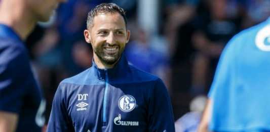 domenicotedesco