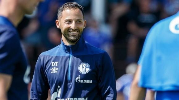 domenico tedesco domenicotedesco