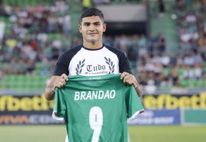 junior brandao