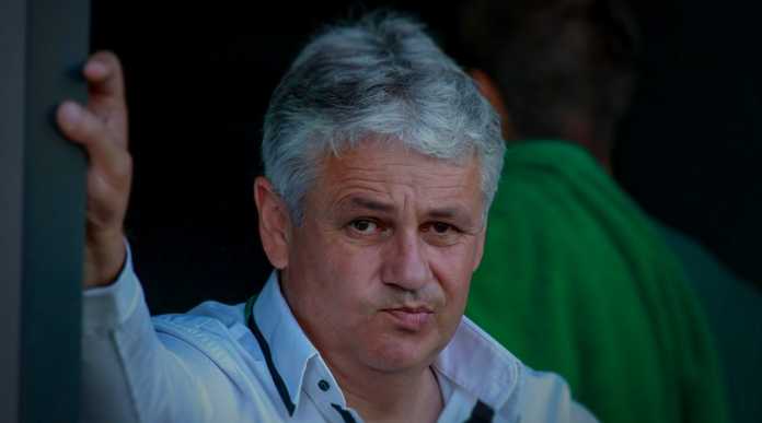 stoicho stoev stoicho stoev