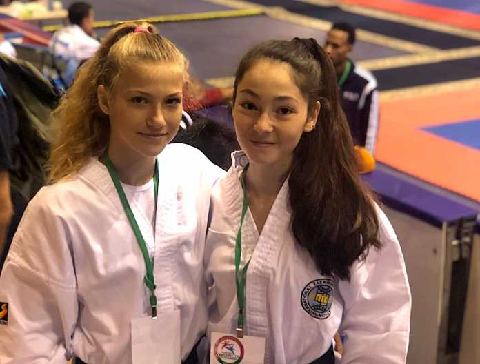 taekwon do 2 taekwon do 2