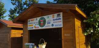 41703360 10160678634190237 5505405250288222208 n