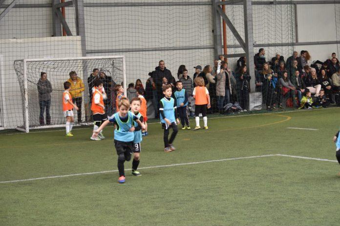 sport koleda sport koleda