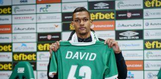 david ribeiro