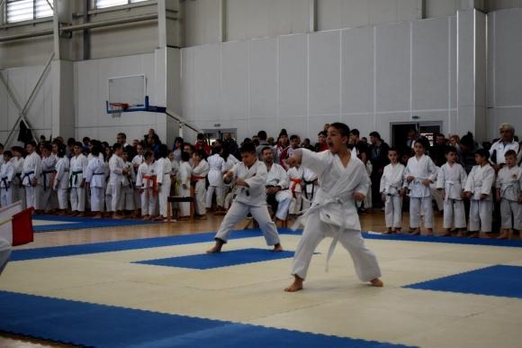shotokan 00776523