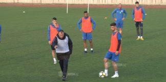 arda stamen belchev