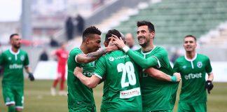 ludogorets stanislav manolev