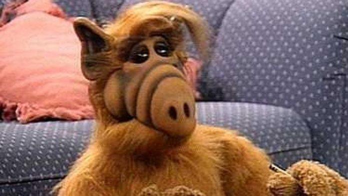 alf alf