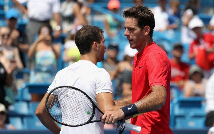 grigor dimitrov i del potro 960 600 grigor dimitrov del potro