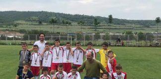 pirin 2001 2008