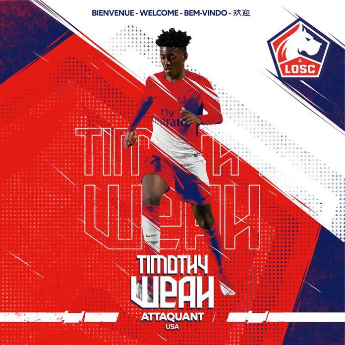 timoti uea timoti uea