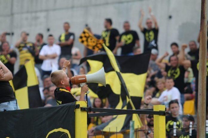 borko vlahov