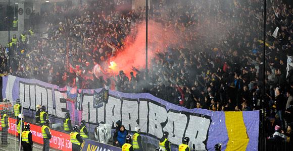 maribor fenove