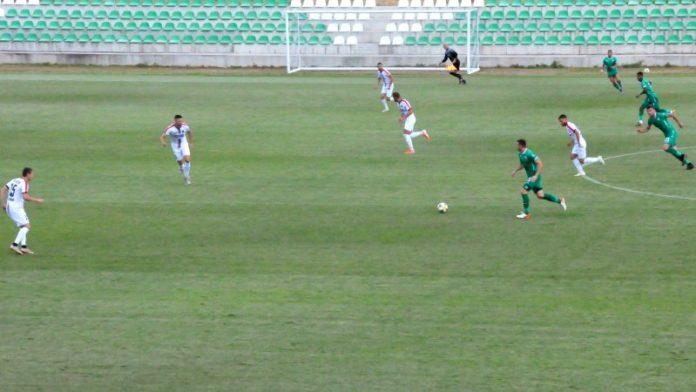 beroe-botev