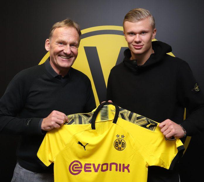 Erling Holand