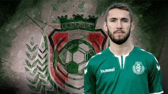 vladimir misqk