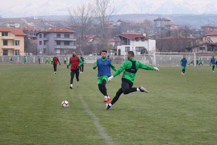 pirin