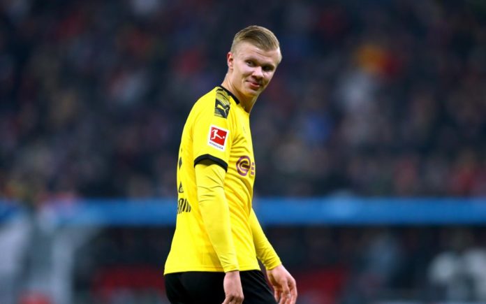 Erling Holand