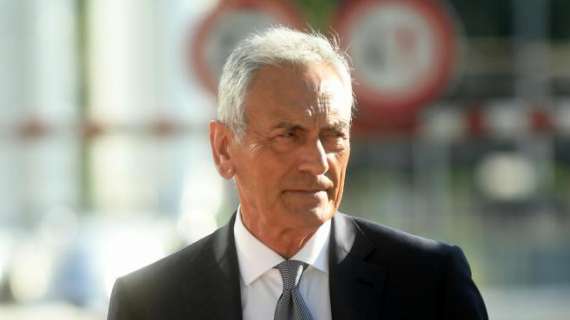 gabriele gravina