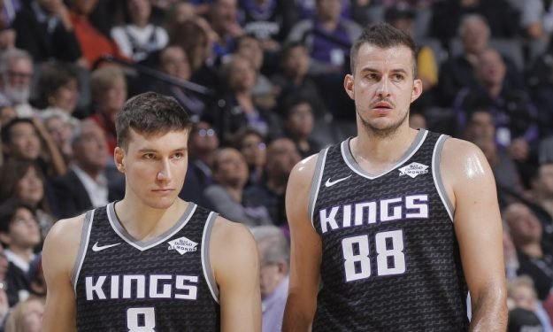 bogdan-bogdanovic-bjelica